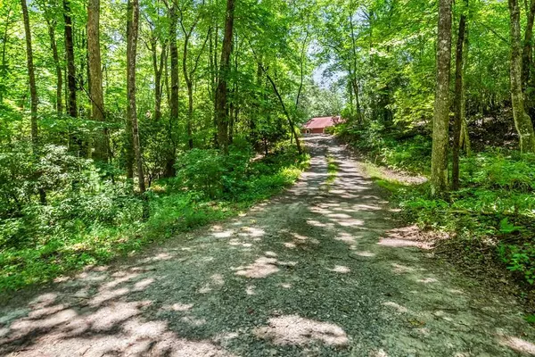 Ellijay, GA 30536,135 Oliver Creek Road