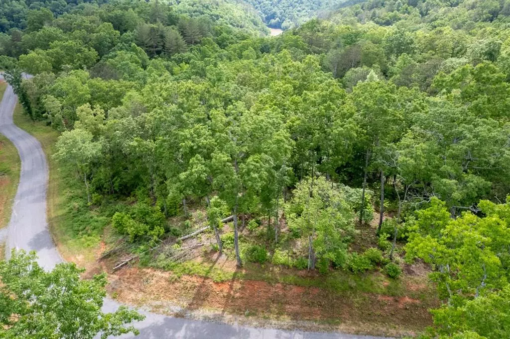 Ellijay, GA 30540,0 Sundown Trail