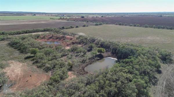 Tuscola, TX 79562,TBD Approx 32 Acres CR 133