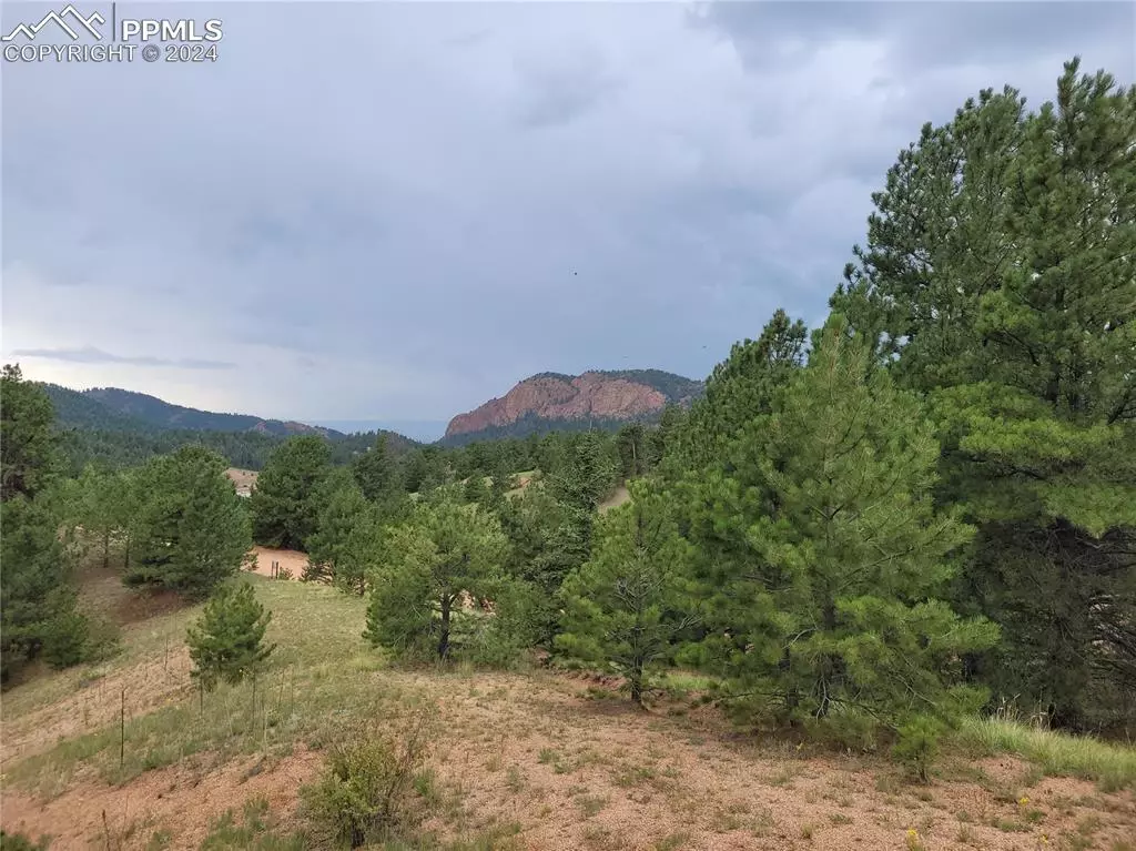 Cripple Creek, CO 80813,210 Wilson WAY