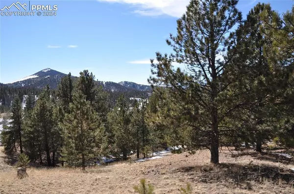 Cripple Creek, CO 80813,210 Wilson WAY