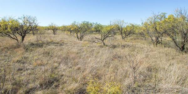 Abilene, TX 79606,Lot #1 7050 Autumn Sage Lane