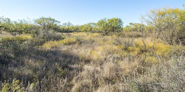 Abilene, TX 79606,Lot #1 7050 Autumn Sage Lane