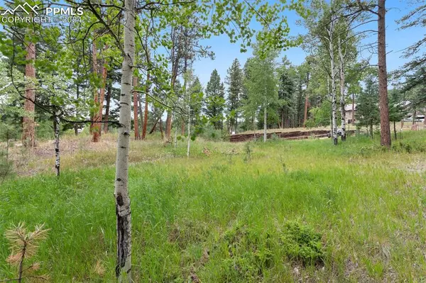 Woodland Park, CO 80863,941 Heather CT