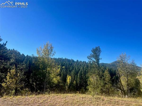 456 Idlewild DR, Cripple Creek, CO 80813