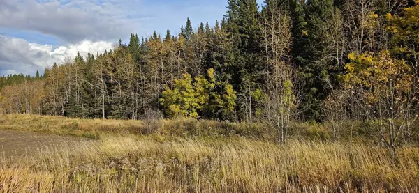 Sundre, AB T0M 1X0,0 Main Avenue & Cowboy Trail