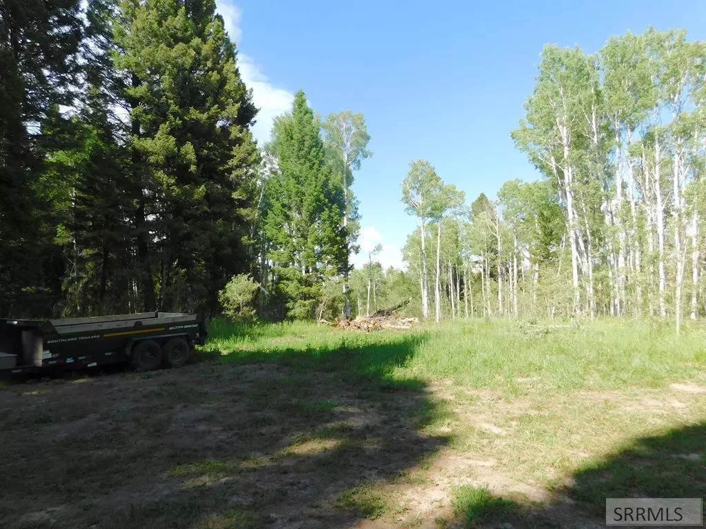 Island Park, ID 83429,4915 Shadow Wood