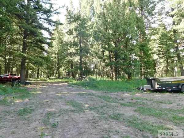 Island Park, ID 83429,4915 Shadow Wood