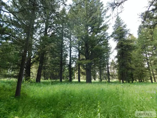 Island Park, ID 83429,4915 Shadow Wood