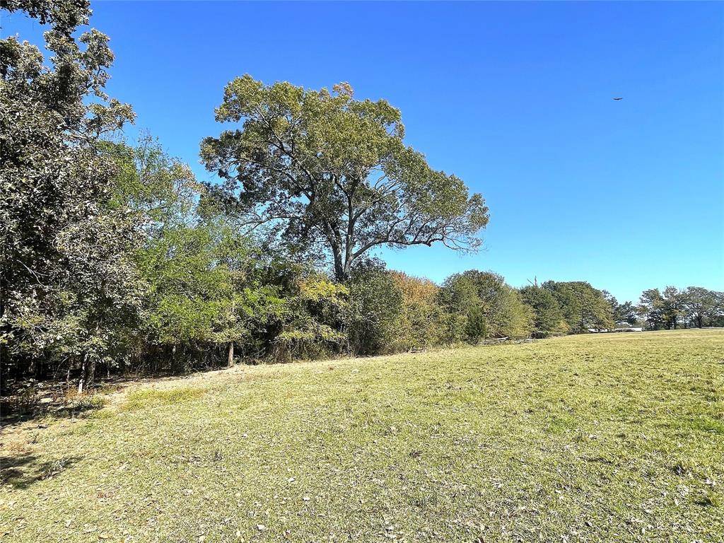 De Kalb, TX 75559,tbd cr 3310