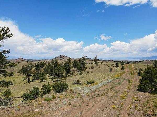 Hartsel, CO 80449,Lot 26 Wolfe Road