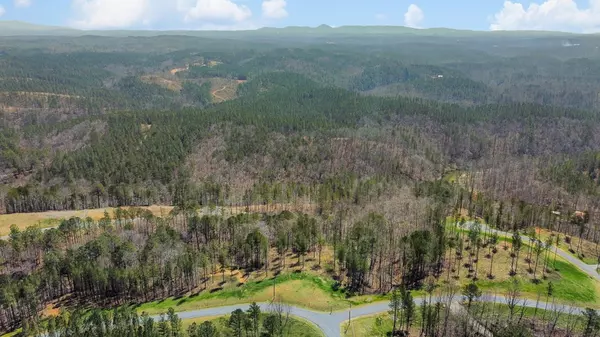 Ellijay, GA 30540,Lot 196 Blalock Mountain Road