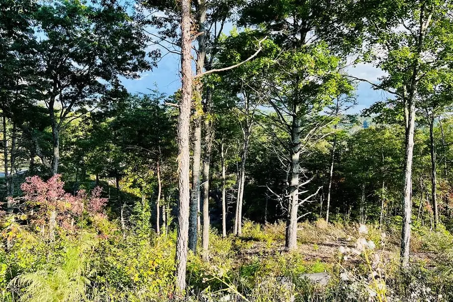 Lot 17 Mountain Laurel Ridge, Mineral Bluff, GA 30559