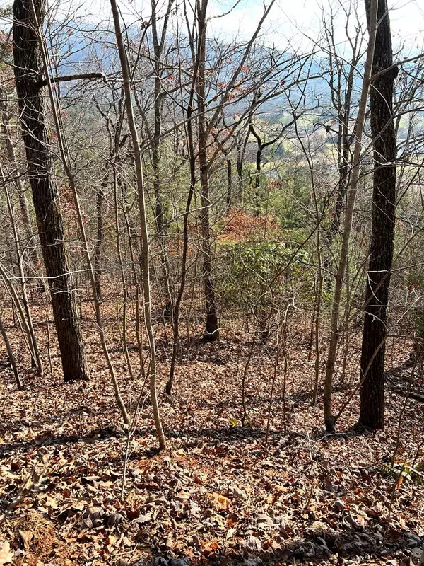 Lot 56C Indian Trail, Hayesville, NC 28904