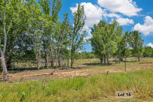 Collinsville, TX 76233,TBD-Lot 16 Ethel Cemetery Road