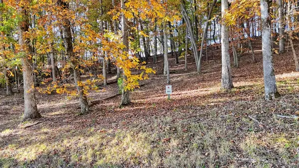 Blairsville, GA 30512,LOT 161 Old Owen Drive