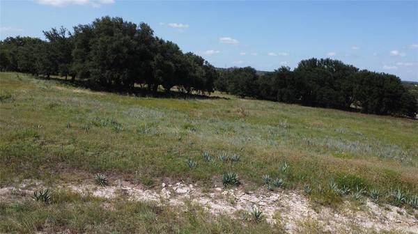 Dublin, TX 76446,Lot 53 Ava Grace Lane