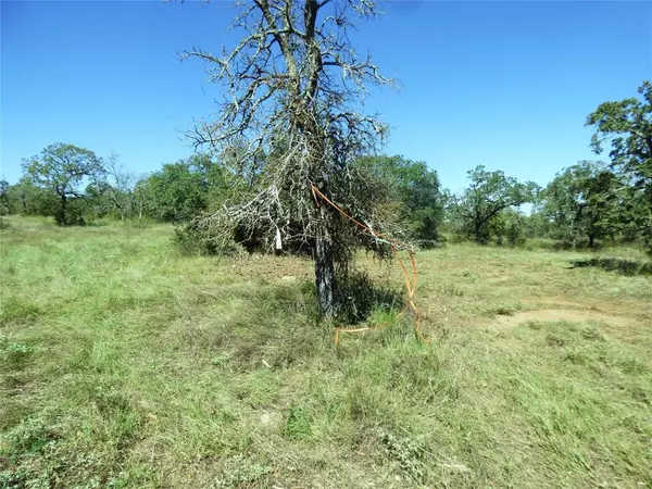 Santo, TX 76472,TBD Clara Lane