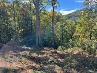 Blairsville, GA 30512,Lot 74 Mine Cart Trail