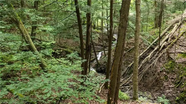 Orleans - Cumberland And Area, ON K4C 1C8,809 SERENDIB CT