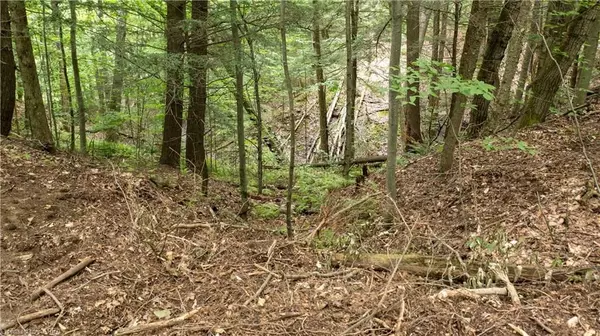 Orleans - Cumberland And Area, ON K4C 1C8,809 SERENDIB CT