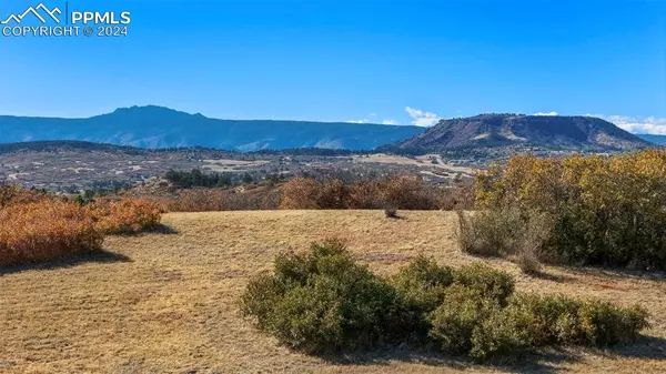 Castle Rock, CO 80104,4517 Tallyrand CIR