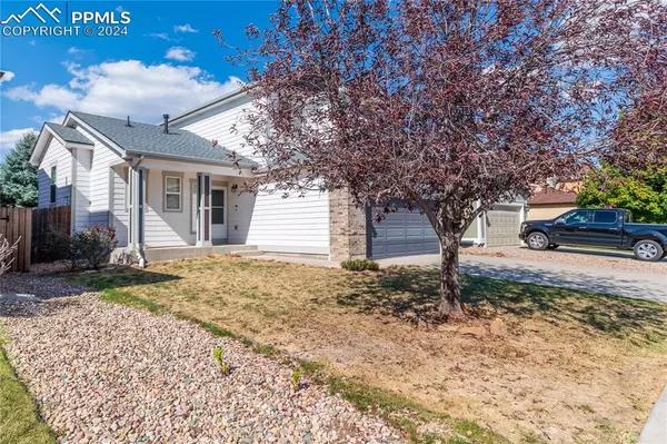 Colorado Springs, CO 80922,7697 Steward LN