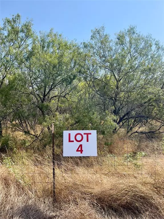 Nixon, TX 78140,TBD S State Highway 80 Avenue