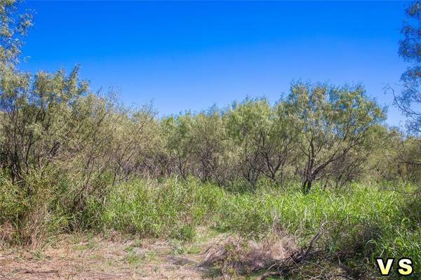 Lot 2 County Road 489, May, TX 76857