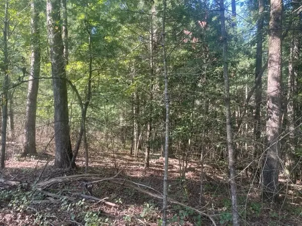 Ellijay, GA 30536,Lot 14 Clear Creek Preserve Way