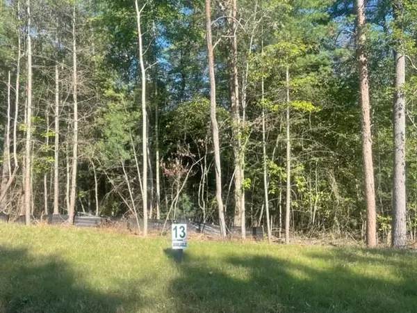 Lot 13 Clear Creek Preserve Way, Ellijay, GA 30536