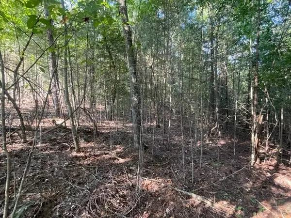 Ellijay, GA 30536,Lot 13 Clear Creek Preserve Way