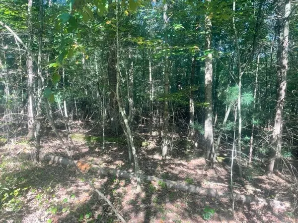 Ellijay, GA 30536,Lot 13 Clear Creek Preserve Way