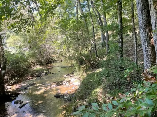 Ellijay, GA 30536,Lot 5 Clear Creek Preserve Way