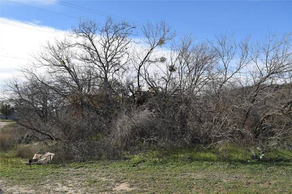 Santa Anna, TX 76878,TBD FM 1176