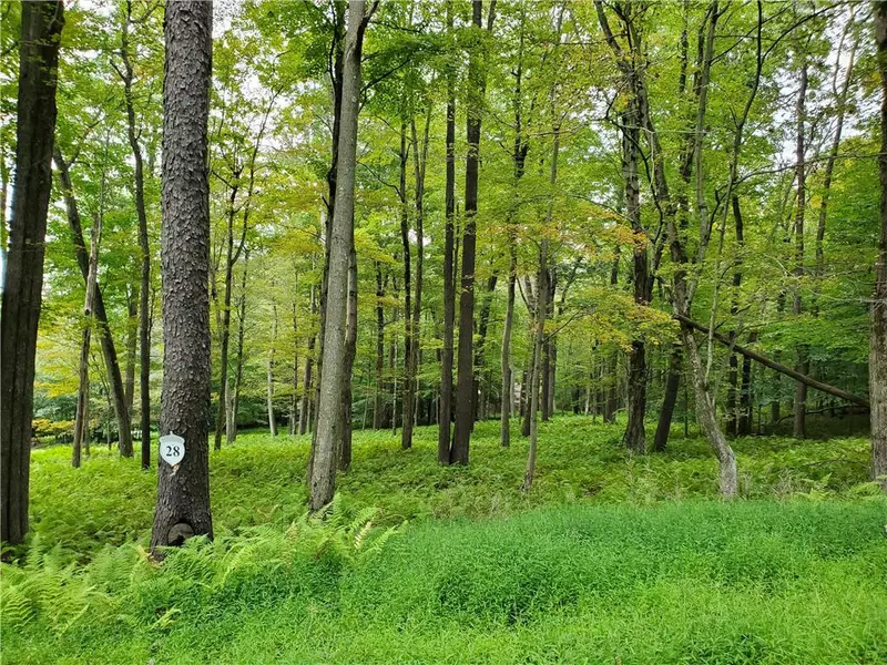 28 Oak Leaf Lane #Lot 28, Tobyhanna Twp, PA 18347