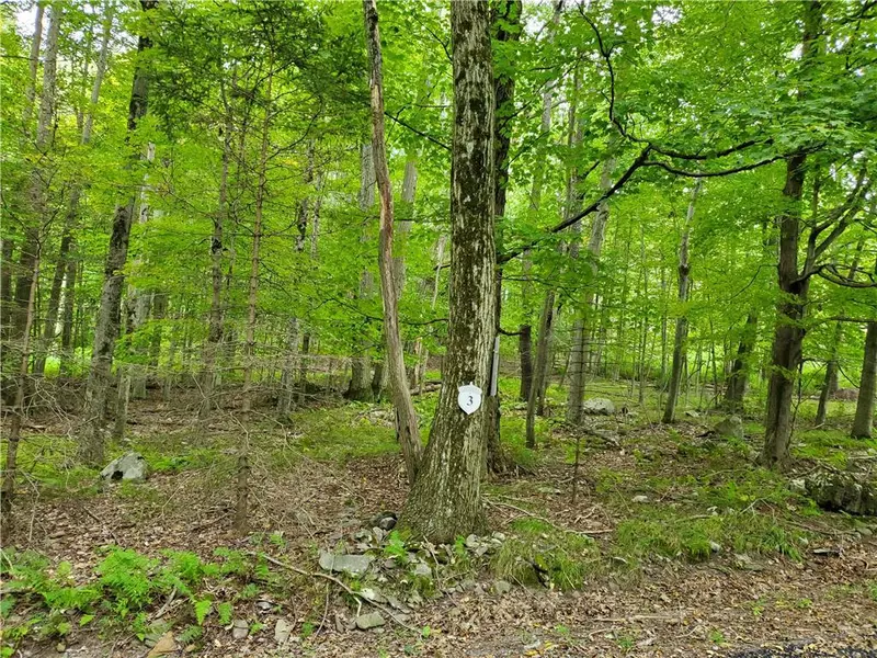 3 Tall Oak #Lot 3, Tobyhanna Twp, PA 18347