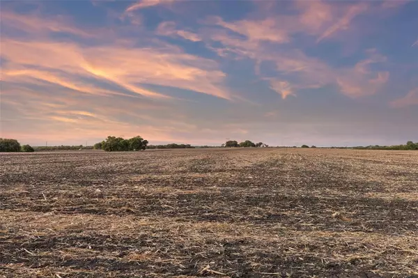 Anna, TX 75409,453 County Road 371