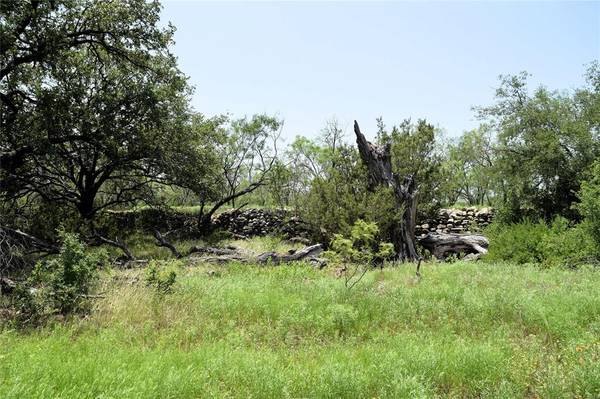 Valera, TX 76884,TBD 78 County Road 404