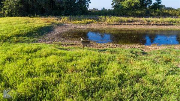 Anson, TX 79501,5351 County Road 499