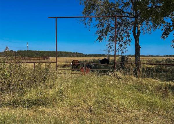 TBD VZ County Road 4111, Canton, TX 75103