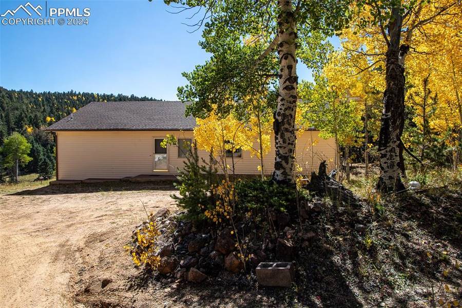 1054 Cantiberry RD, Divide, CO 80814