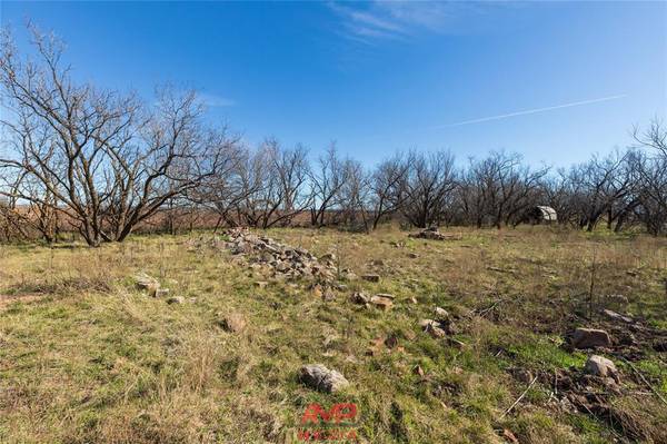 Avoca, TX 79503,TBD County Road 260