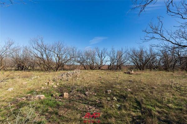 Avoca, TX 79503,TBD County Road 260