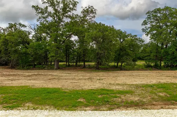 Milano, TX 76556,380 Green Acres Lane