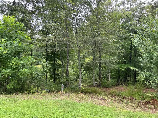 Mineral Bluff, GA 30559,Lot 195 Trails End Way