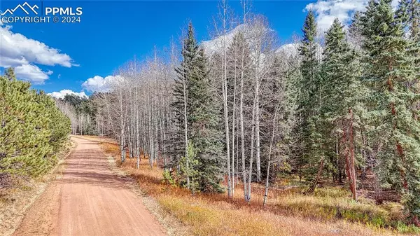 570 Spring Valley LN, Florissant, CO 80816