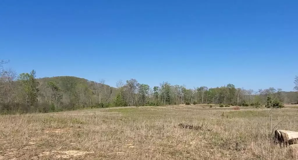 Lot 6 Bear Hollow Lane, Livingston, TN 38570