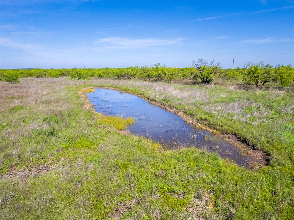 Novice, TX 79538,TBD CR 482 NORTH