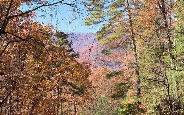 Lot 49 Fires Creek Cove, Hayesville, NC 28904